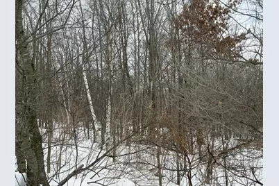 Tbd 180th Avenue, Balsam Lake, WI 54810 - Photo 4