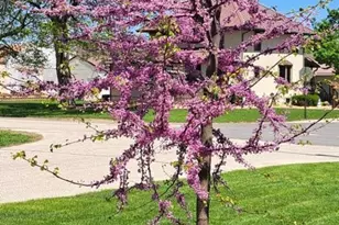 200 S Sheppard St, Kellogg, MN 55945 - Photo 38