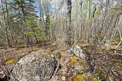 0000 Fectos Road, Tower, MN 55790 - Photo 48