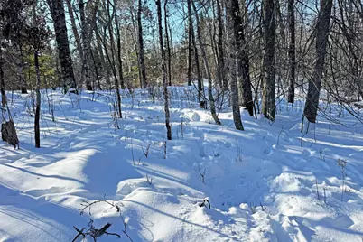 0000 Fectos Road, Tower, MN 55790 - Photo 40