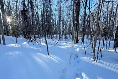 0000 Fectos Road, Tower, MN 55790 - Photo 46