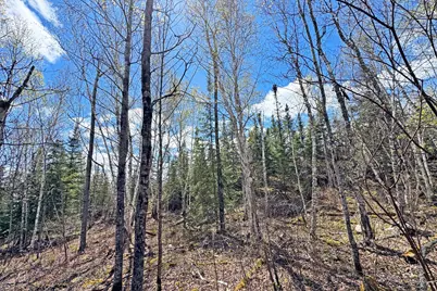 0000 Fectos Road, Tower, MN 55790 - Photo 34