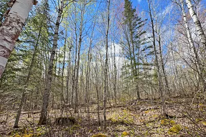 0012 Fectos Road, Tower, MN 55790 - Photo 48