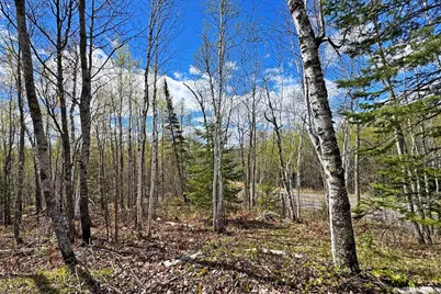 0012 Fectos Road, Tower, MN 55790 - Photo 38