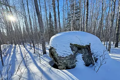 0012 Fectos Road, Tower, MN 55790 - Photo 38