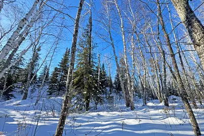 0012 Fectos Road, Tower, MN 55790 - Photo 46