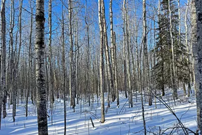 0012 Fectos Road, Tower, MN 55790 - Photo 40