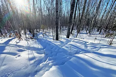 0012 Fectos Road, Tower, MN 55790 - Photo 30