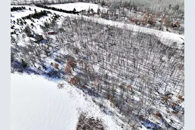Tbd Brush Lake Lane, Park Rapids, MN 56470 - Photo 6