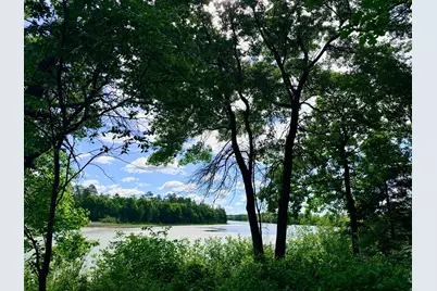 Tbd Brush Lake Lane, Park Rapids, MN 56470 - Photo 2
