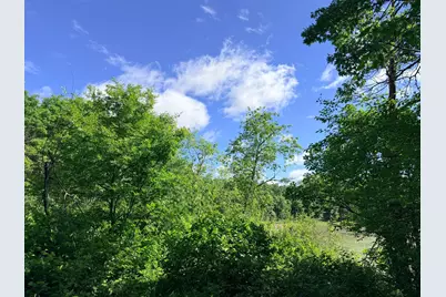 Tbd Brush Lake Lane, Park Rapids, MN 56470 - Photo 12