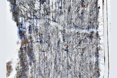 Tbd Brush Lake Lane, Park Rapids, MN 56470 - Photo 10