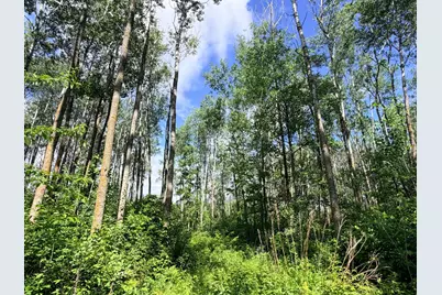 Tbd Brush Lake Lane, Park Rapids, MN 56470 - Photo 10