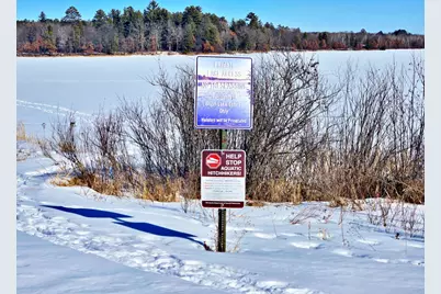 Tbd Brush Lake Lane, Park Rapids, MN 56470 - Photo 16