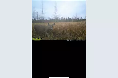 Tbd 30th Ave, Isle, MN 56342 - Photo 30