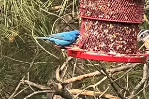 21873 Drake St NW, Oak Grove, MN 55011 - Photo 62