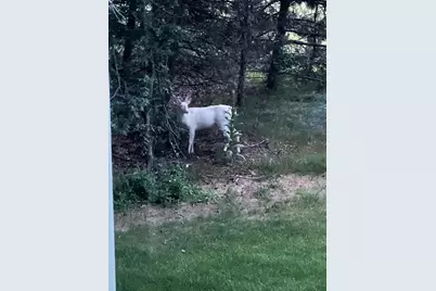 21873 Drake Street NW, Oak Grove, MN 55011 - Photo 64