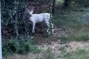 21873 Drake St NW, Oak Grove, MN 55011 - Photo 64