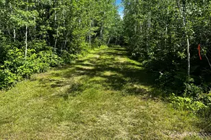 18219 Majestic Hideaway Wy, Nashwauk, MN 55769 - Photo 18