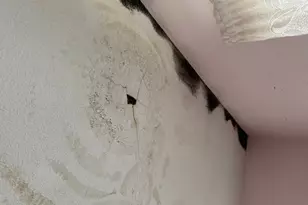 531 S 2nd St, La Crescent, MN 55947 - Photo 26