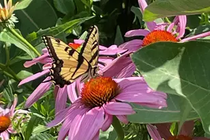 5424 30th Ave S, Minneapolis, MN 55417 - Photo 36