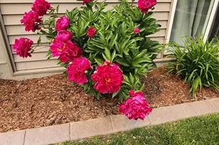 3684 235th Ln NW, Saint Francis, MN 55070 - Photo 56