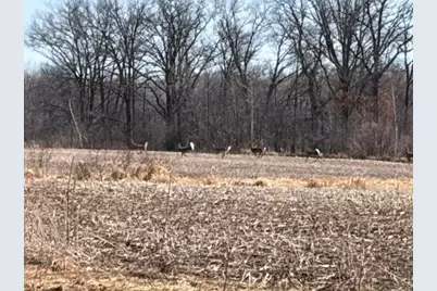 20Xx Quail Street, Mora, MN 55051 - Photo 2