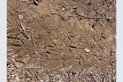 20Xx Quail Street, Mora, MN 55051 - Photo 18