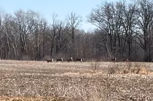 20Xx Quail St, Mora, MN 55051 - Photo 1