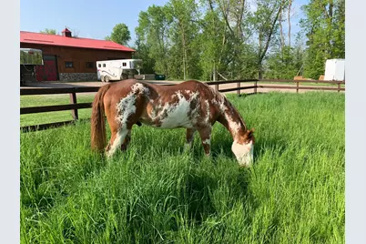 21168 Klein Road, Detroit Lakes, MN 56501 - Photo 96