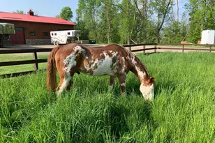 21168 Klein Rd, Detroit Lakes, MN 56501 - Photo 96