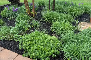 21168 Klein Rd, Detroit Lakes, MN 56501 - Photo 94