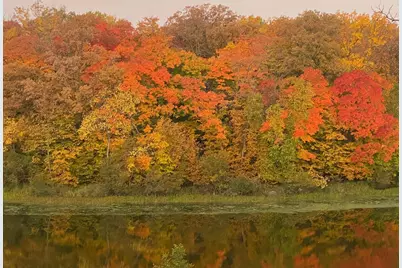 21168 Klein Road, Detroit Lakes, MN 56501 - Photo 102