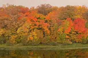 21168 Klein Rd, Detroit Lakes, MN 56501 - Photo 102