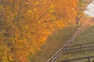 21168 Klein Rd, Detroit Lakes, MN 56501 - Photo 12