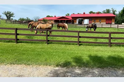 21168 Klein Road, Detroit Lakes, MN 56501 - Photo 8