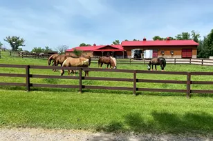 21168 Klein Rd, Detroit Lakes, MN 56501 - Photo 8