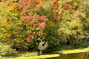 21168 Klein Rd, Detroit Lakes, MN 56501 - Photo 90