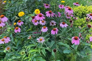 21168 Klein Rd, Detroit Lakes, MN 56501 - Photo 100