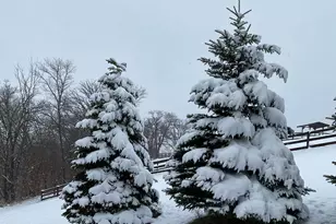 21168 Klein Rd, Detroit Lakes, MN 56501 - Photo 104