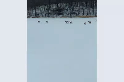 21168 Klein Road, Detroit Lakes, MN 56501 - Photo 108