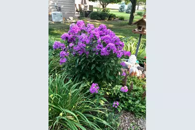 9237 Ashley Terrace, Brooklyn Park, MN 55443 - Photo 26