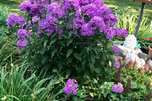 9237 Ashley Terrace, Brooklyn Park, MN 55443 - Photo 28