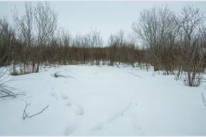 Tbd Sunny Acres Road NE, Nelson, MN 56355 - Photo 46