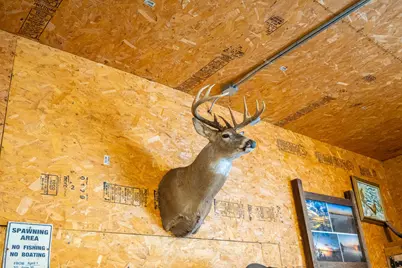 Tbd Sunny Acres Road NE, Nelson, MN 56355 - Photo 64