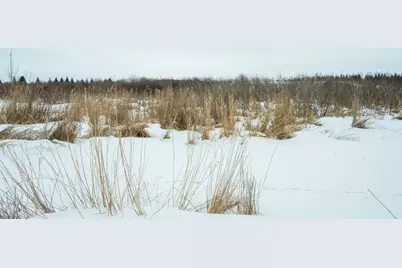 Tbd Sunny Acres Road NE, Nelson, MN 56355 - Photo 36