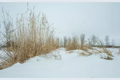 Tbd Sunny Acres Road NE, Nelson, MN 56355 - Photo 38