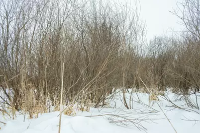 Tbd Sunny Acres Road NE, Nelson, MN 56355 - Photo 42