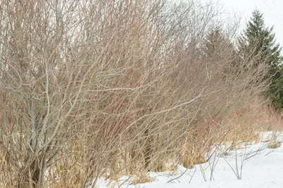 Tbd Sunny Acres Road NE, Nelson, MN 56355 - Photo 54