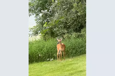 21168 Klein Road #1, Detroit Lakes, MN 56501 - Photo 78
